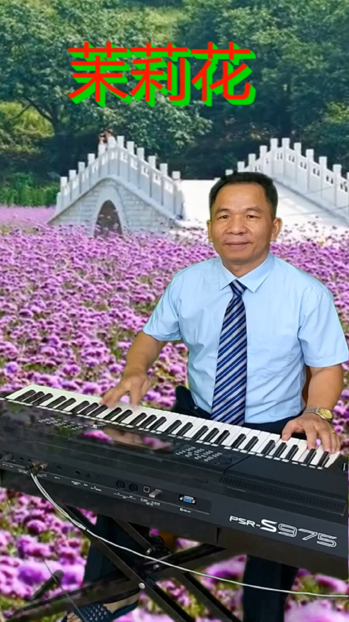 电子琴《茉莉花》