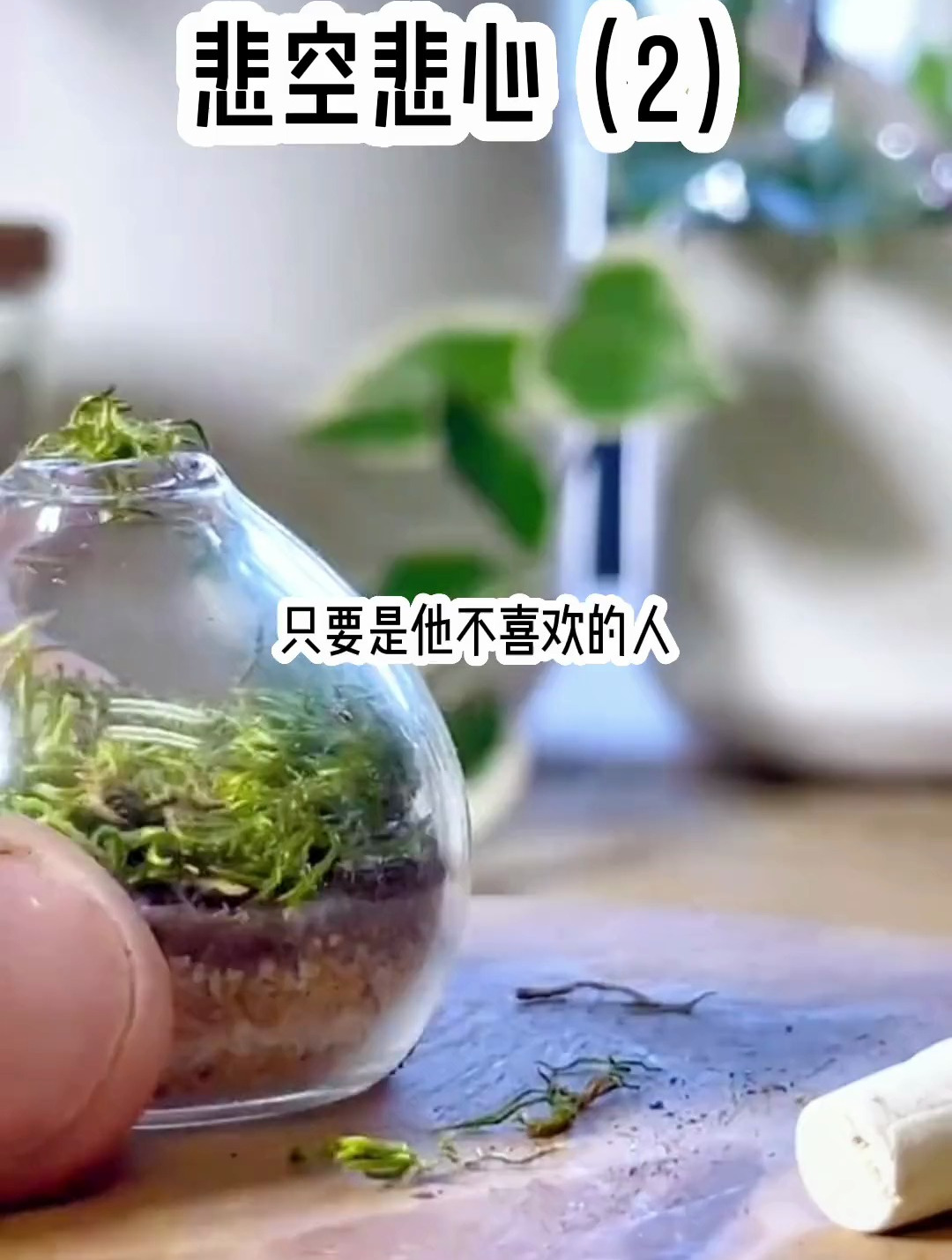 ????名 -《悲空悲心2》虐文推荐 小说推荐 泪崩