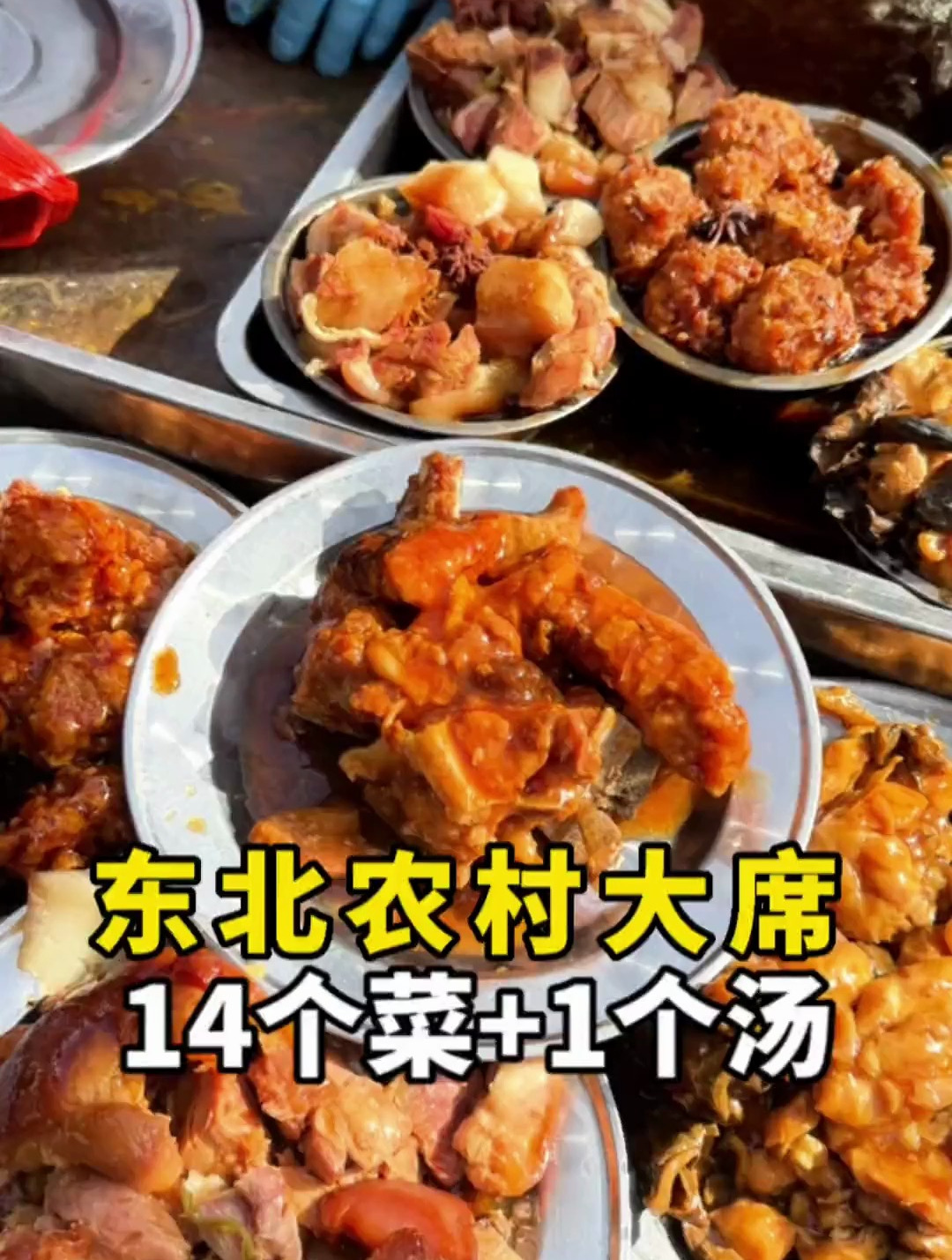 东北大席14个菜+1个汤,你们觉得怎么样?