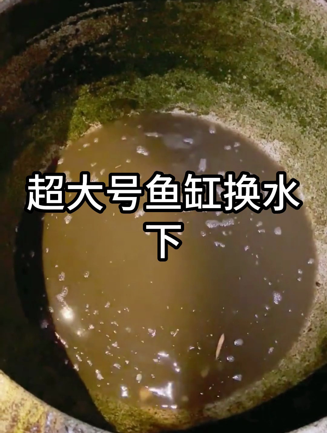 鱼缸怎么清洗最干净?看完视频你就知道了!