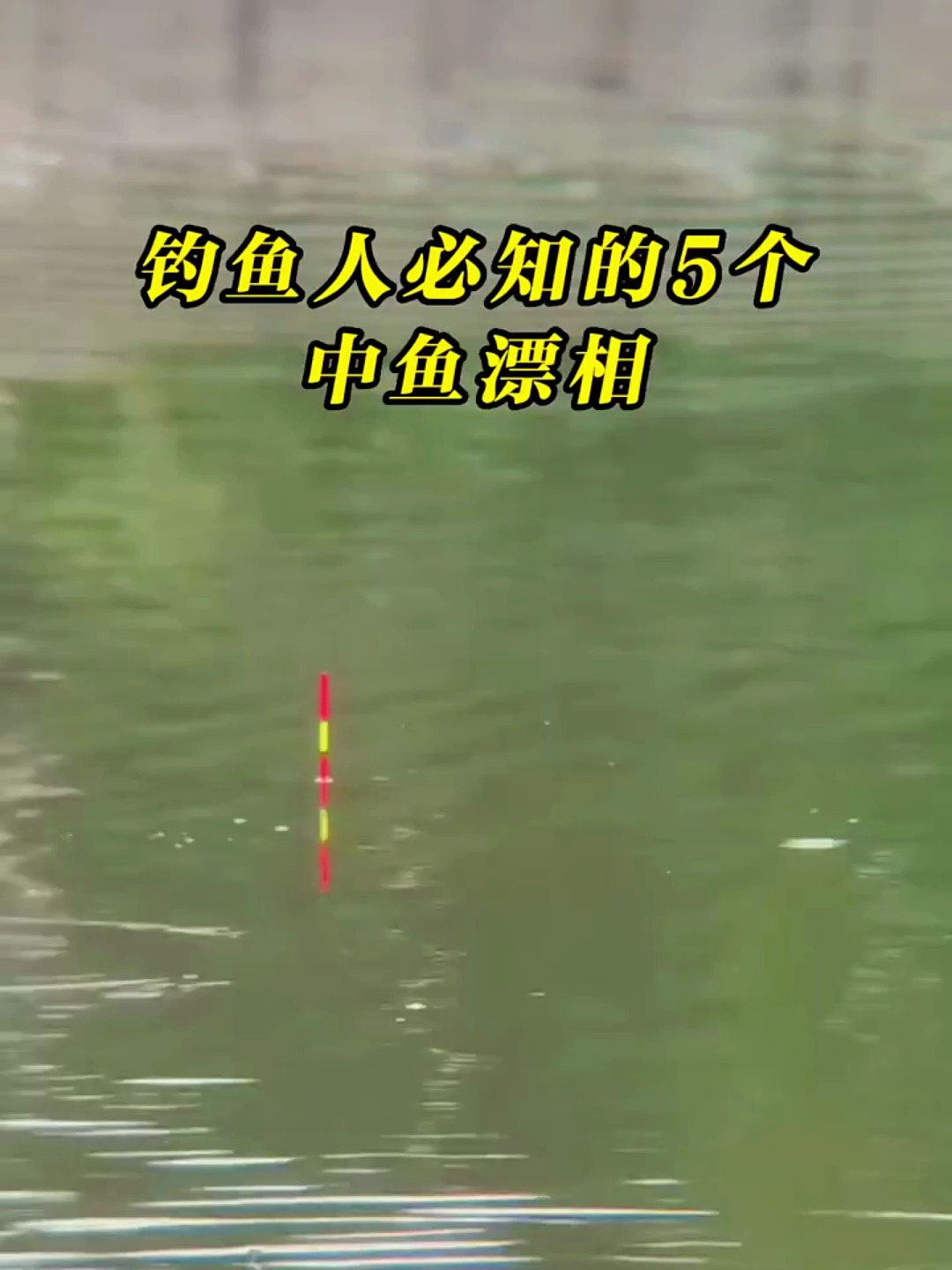 钓鱼人必知的五个中鱼漂相你知道吗?掌握提竿时间很重要!