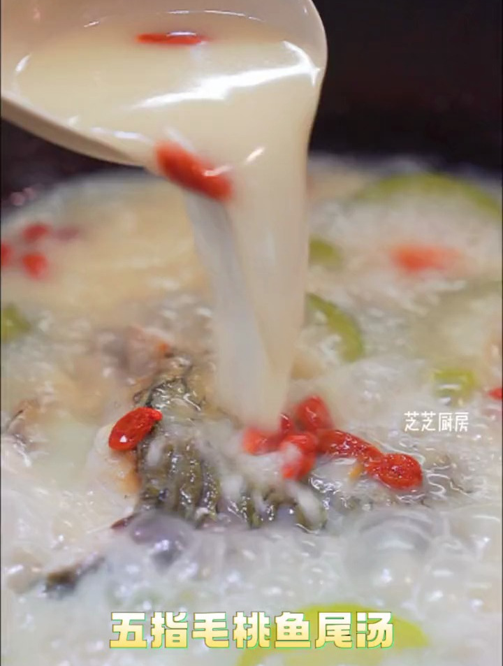 五指毛桃鱼尾汤,奶香浓郁,超级鲜甜~