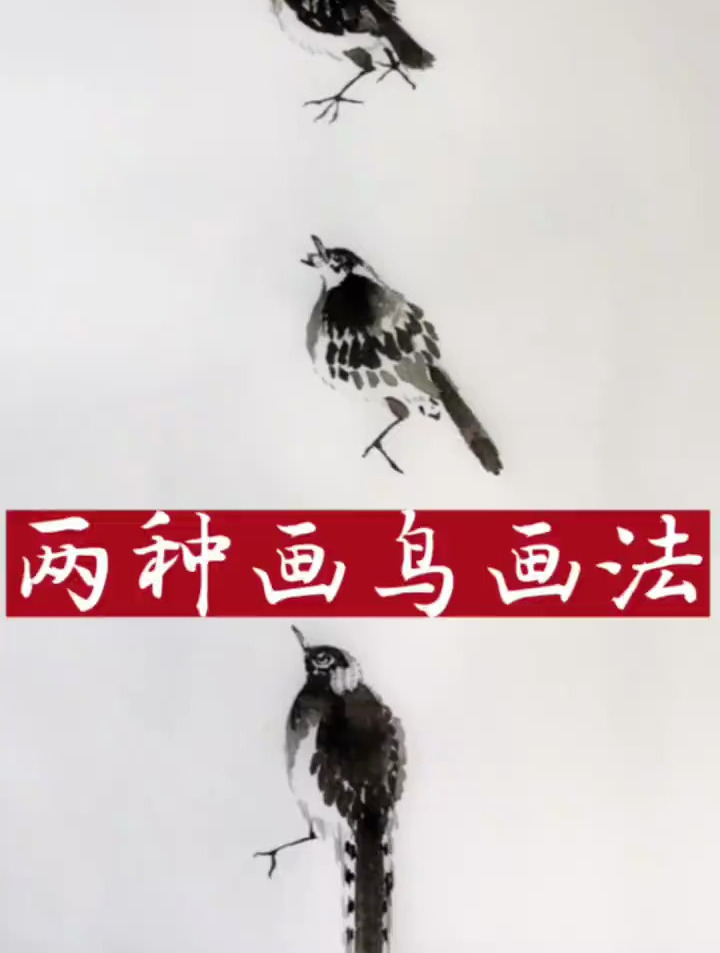 国画两种画鸟画法