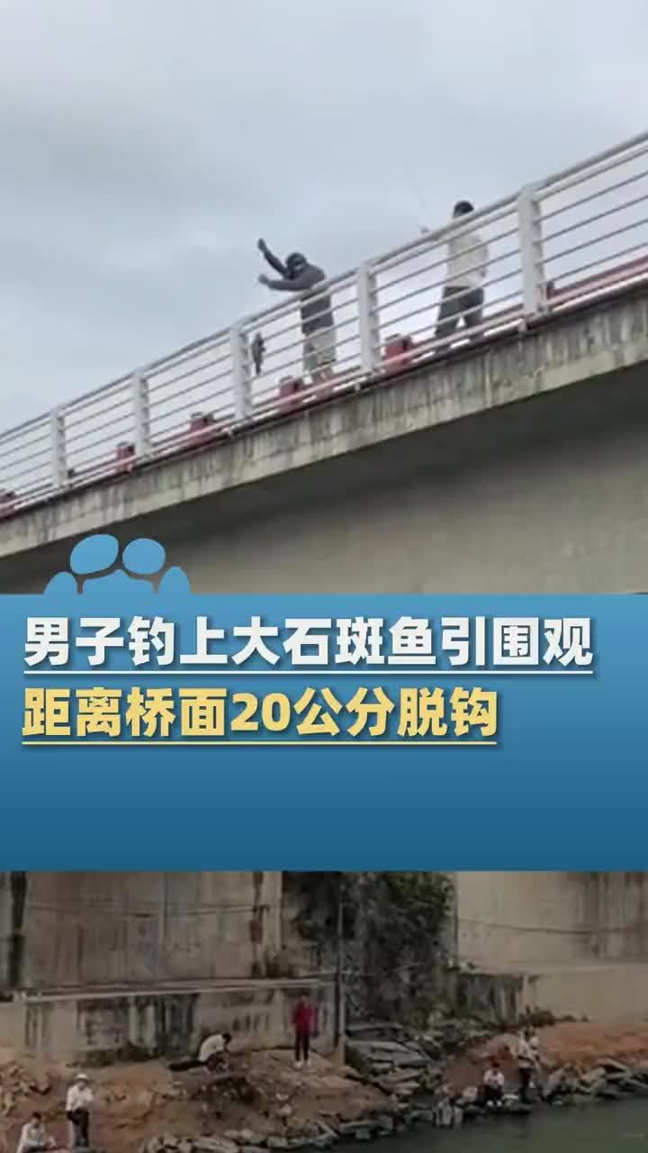 男子钓上大石斑鱼引围观,距桥面20公分时脱钩,围观者齐声:哦豁