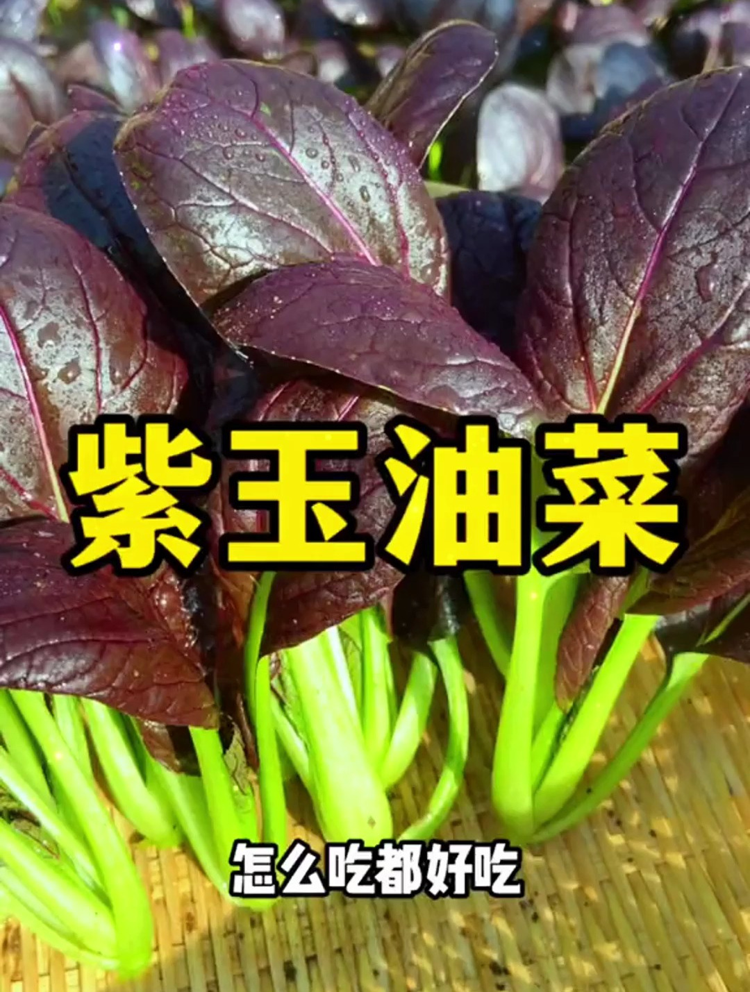 现摘现吃的紫油菜,能美容养颜?难怪小姨一到菜园,就直奔它去了