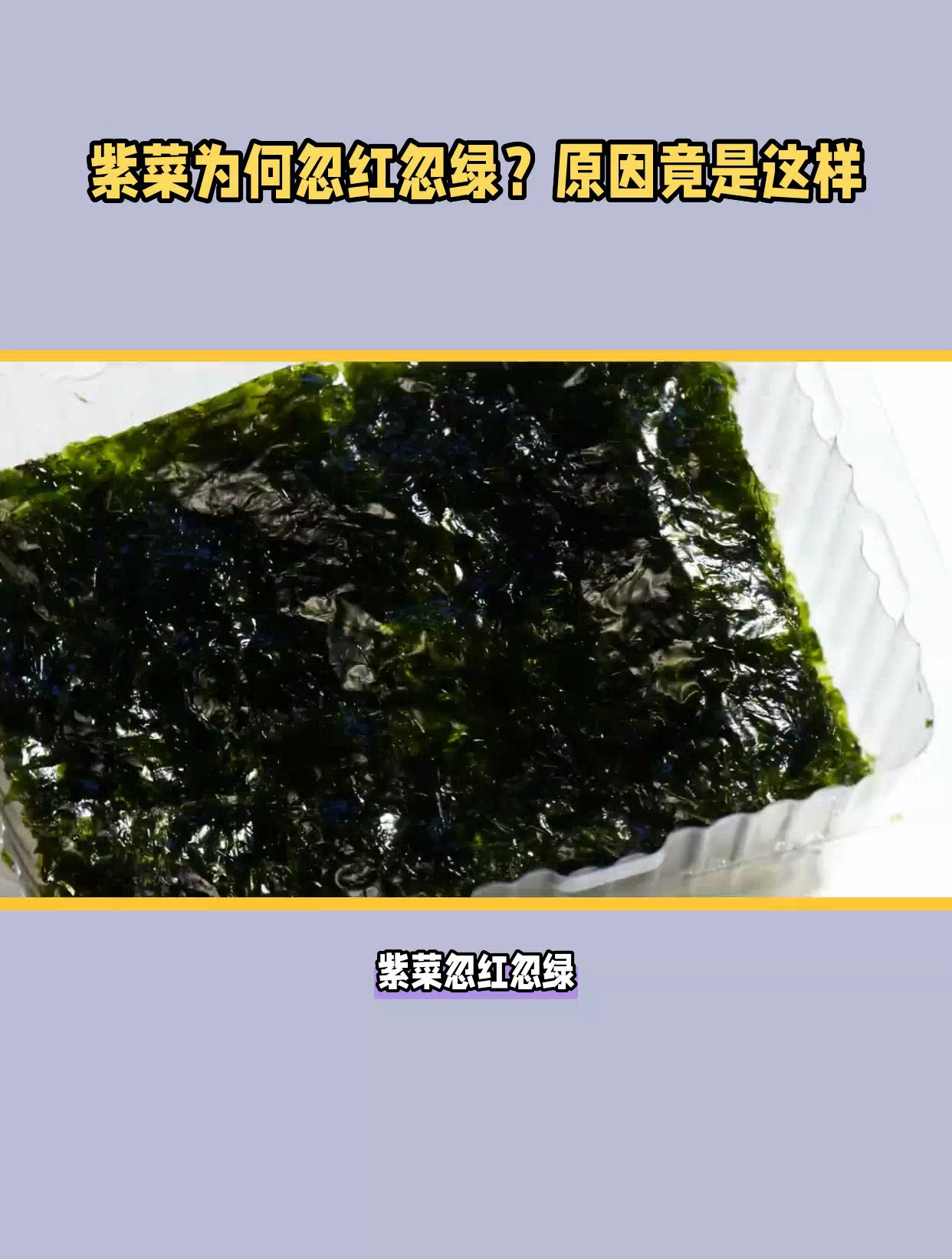 紫菜为何忽红忽绿