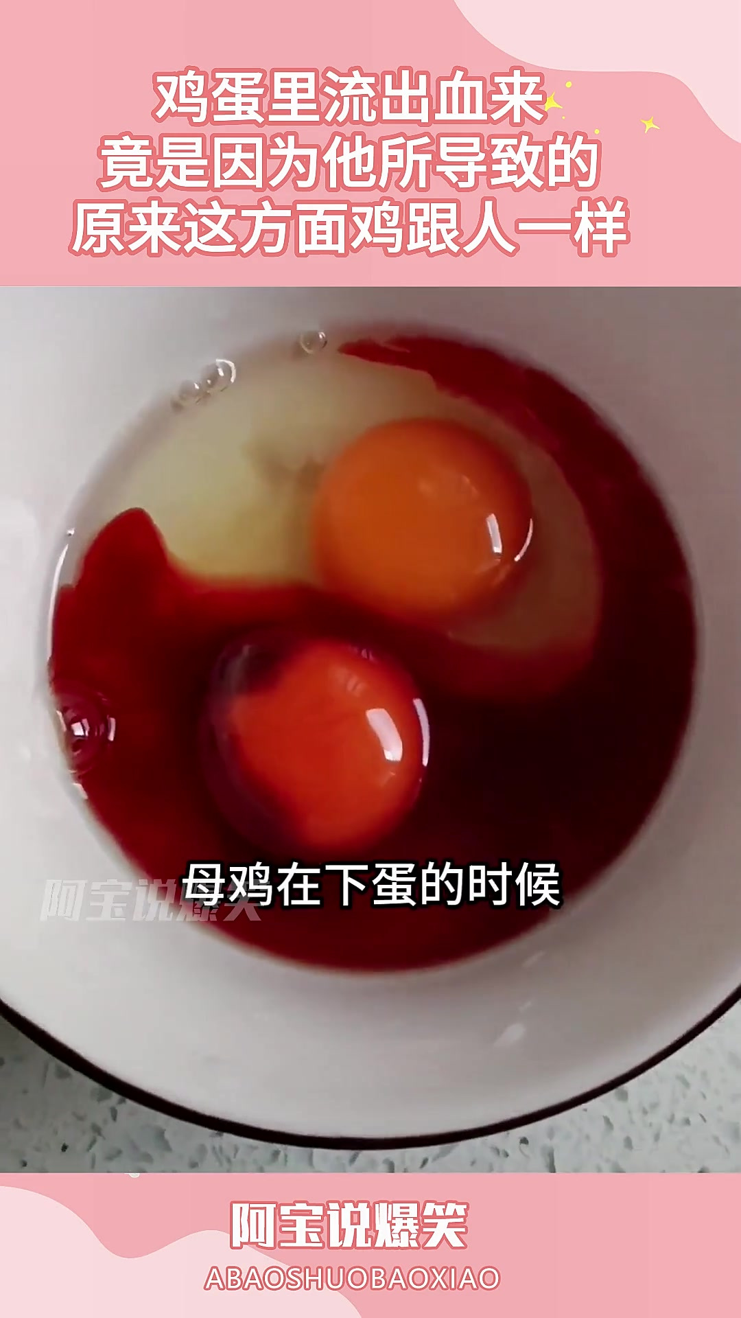 鸡蛋里流出血来,竟是因为他所导致的,原来这方面鸡跟人一样
