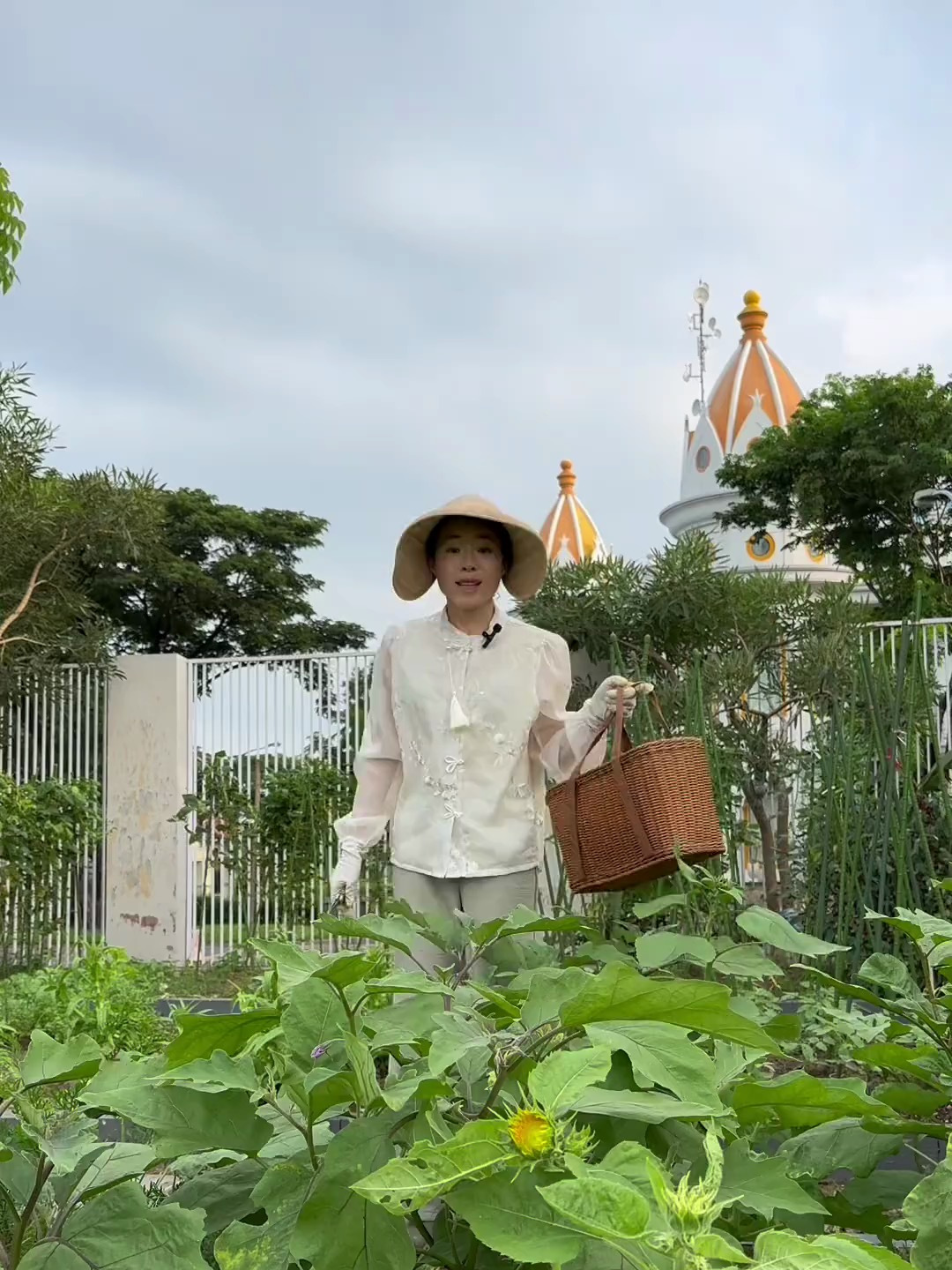 哪里都没有家里好呀,满院子的有机蔬菜看着就开心