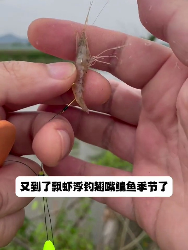 飘虾钓翘嘴鳊鱼 飘虾自由钓组 钓鱼人 渔具用品