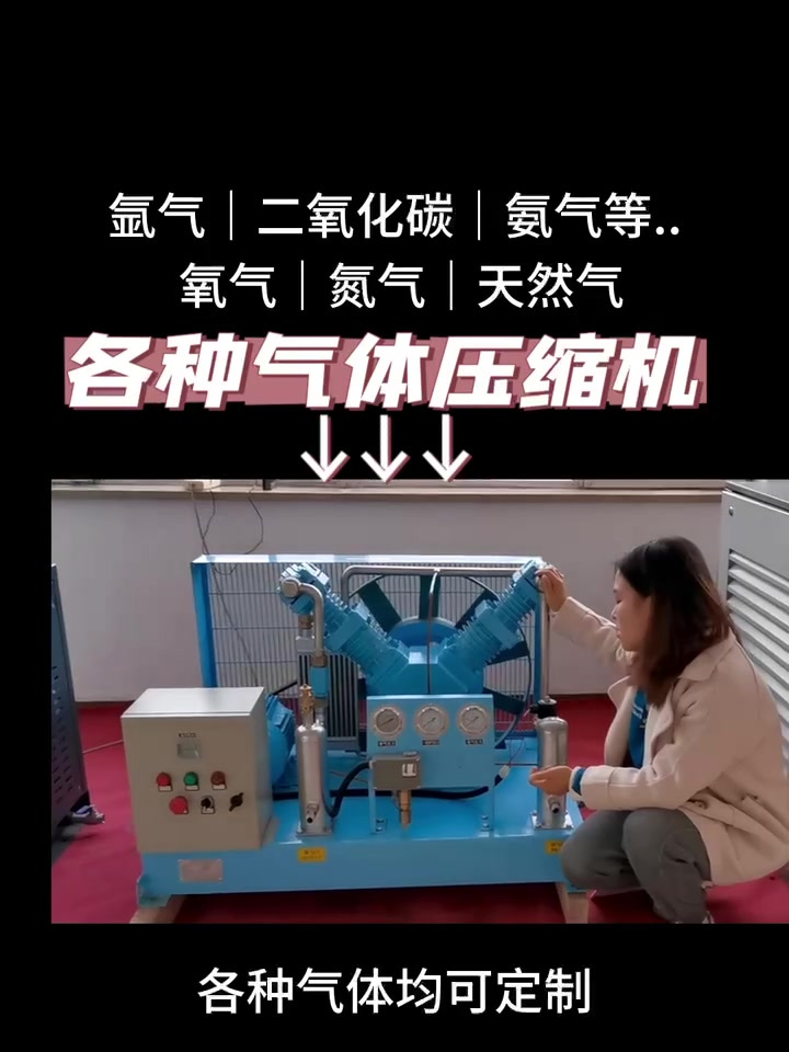 氮气增压机氧气压缩机二氧化碳增压泵