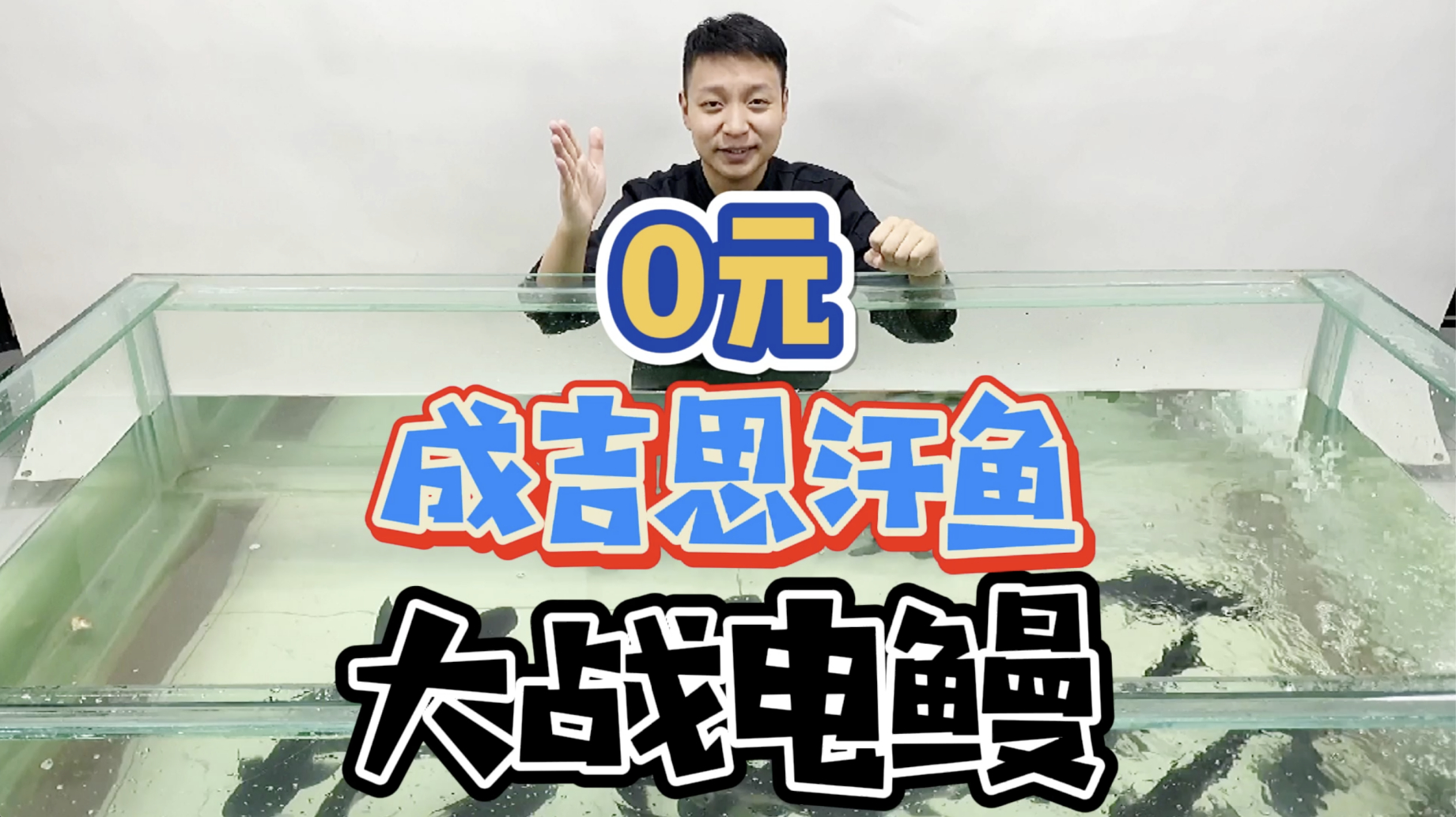 电鳗大战20条“成吉思汗”鱼，电鳗老弟的第五场大战，战果如何？