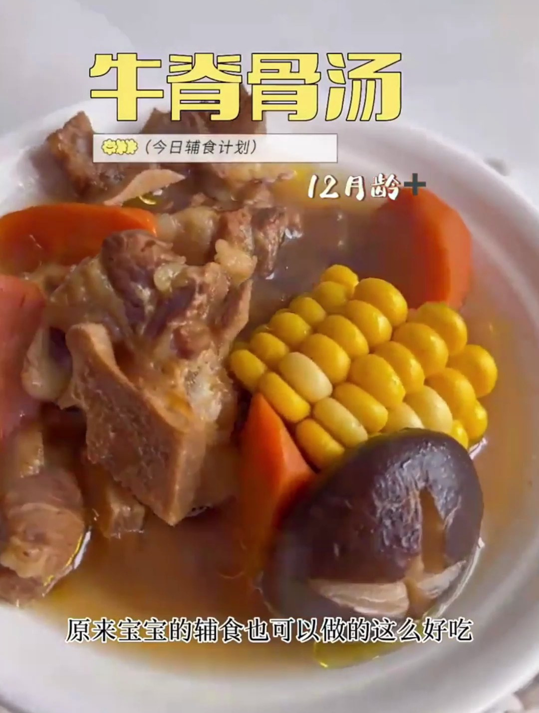 宝宝需要营养,各种营养汤少不了,鲜香软烂的牛脊骨汤安排上