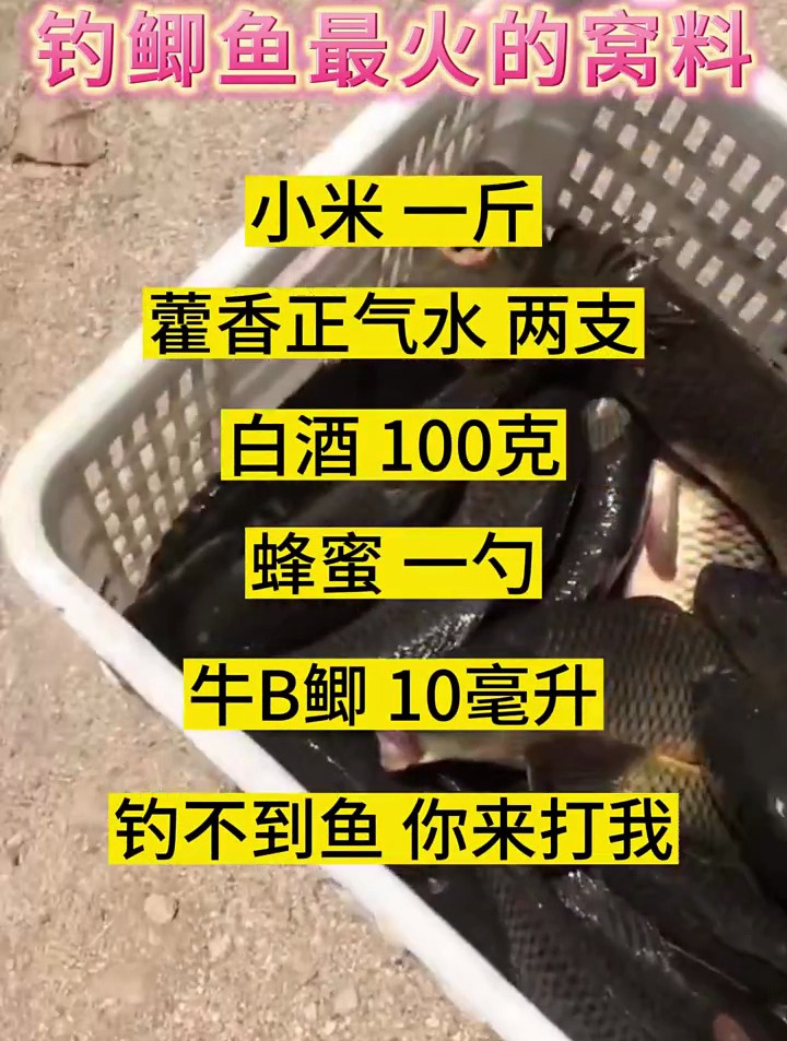钓鲫鱼最好用的窝料配方,鲫鱼窝料,野钓鲫鱼窝料