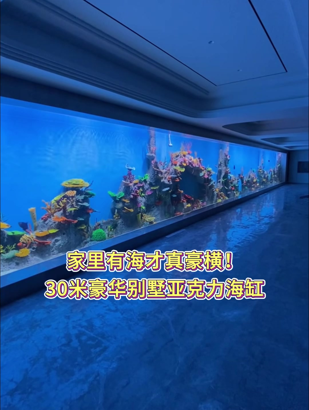 大型亚克力海缸 大型鱼缸 亚克力鱼缸 一面墙鱼缸 珊瑚鱼缸