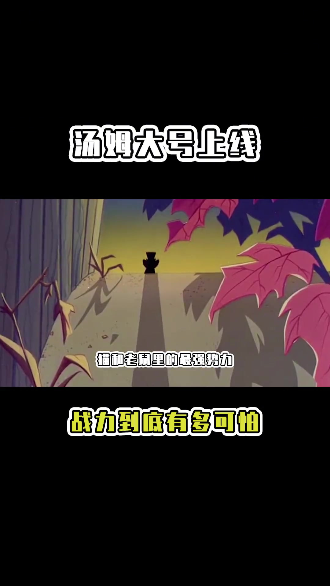 汤姆大号上线到底有多强这才是全球捉鼠冠军的实力!