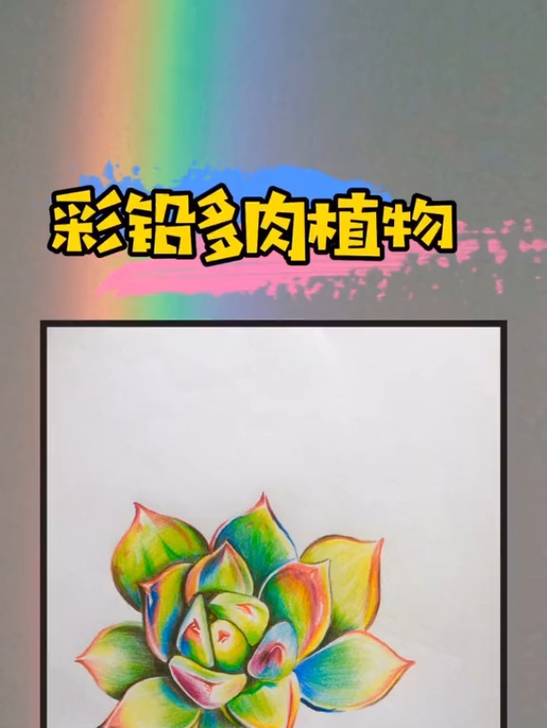 五彩斑斓的多肉植物,是彩铅手绘练习者的首选