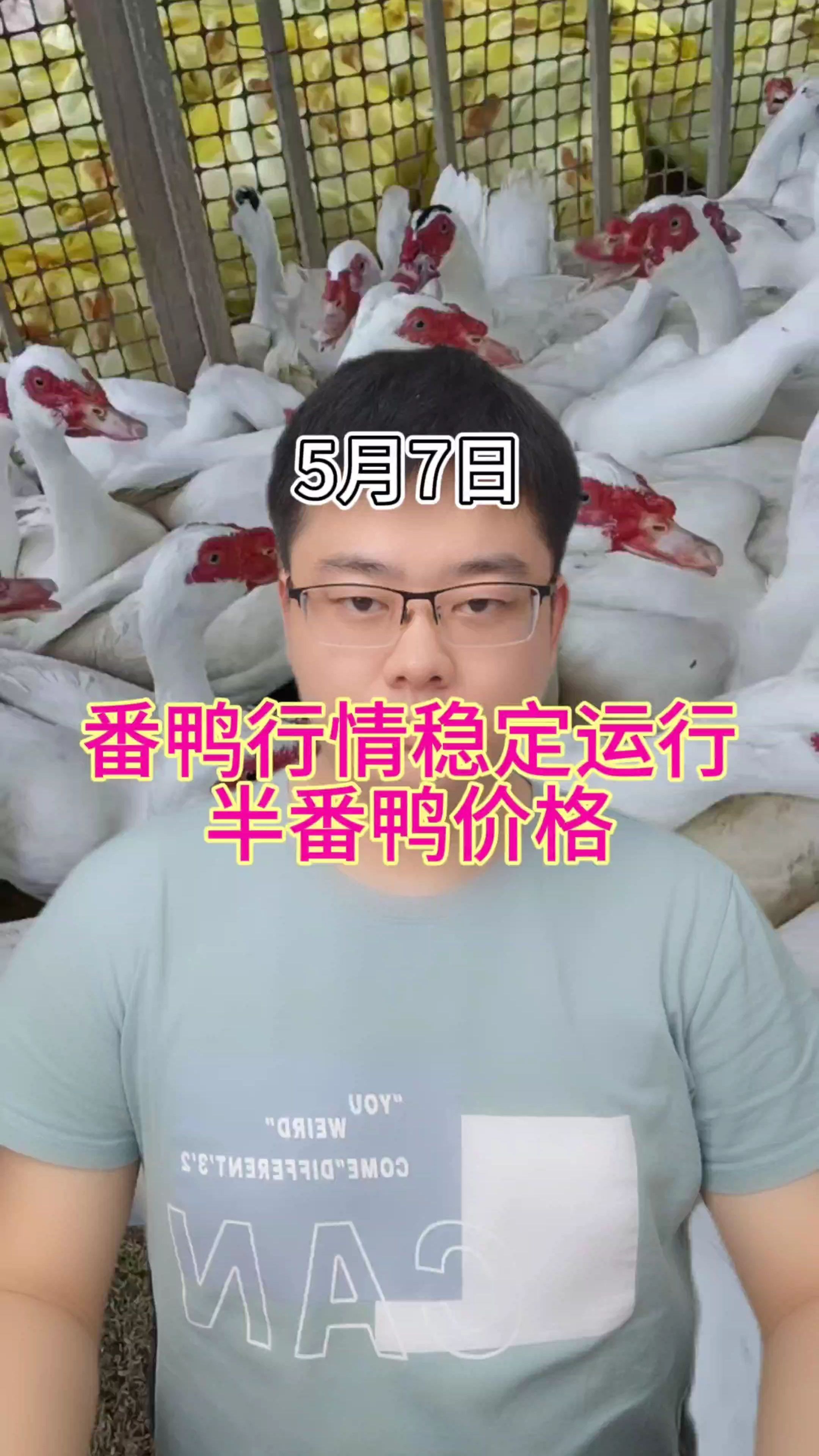 番鸭价格最新行情 番鸭价格 番鸭价格趋势 市场番鸭价
