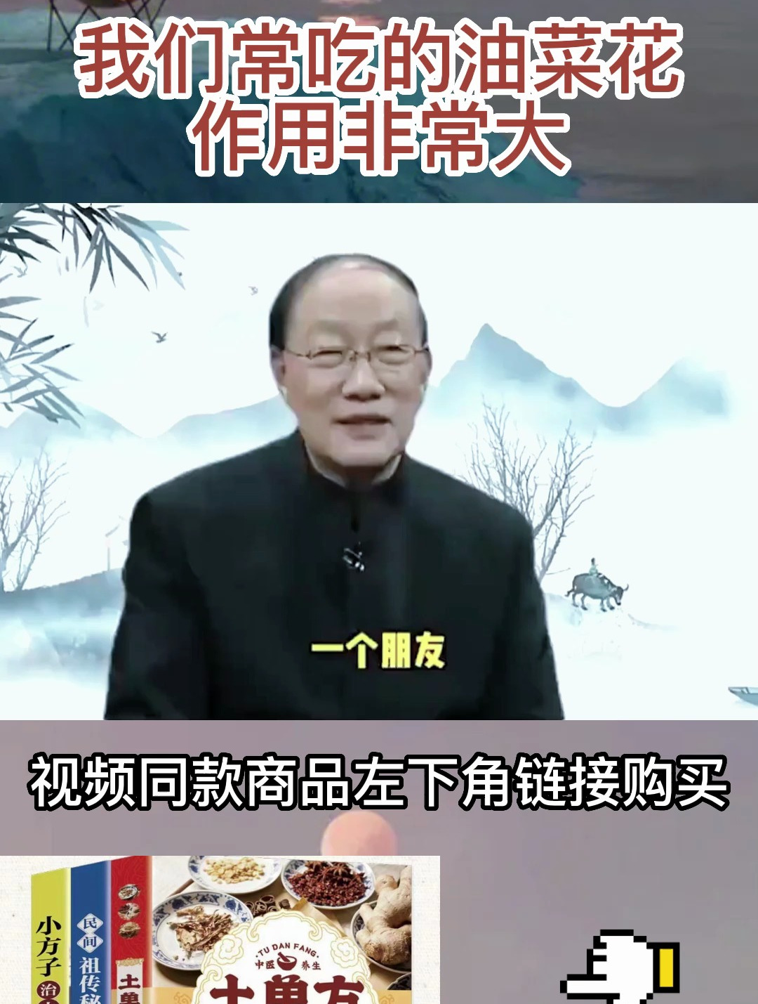 赵霖教授:我们经常吃的油菜花,没想到有这样作用