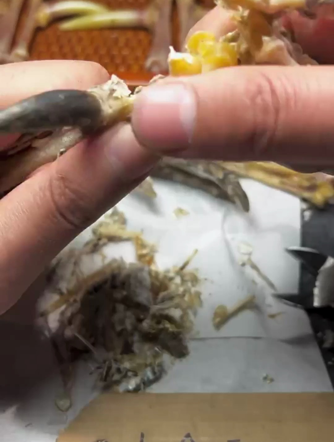 来看看文玩鸡爪的制作过程