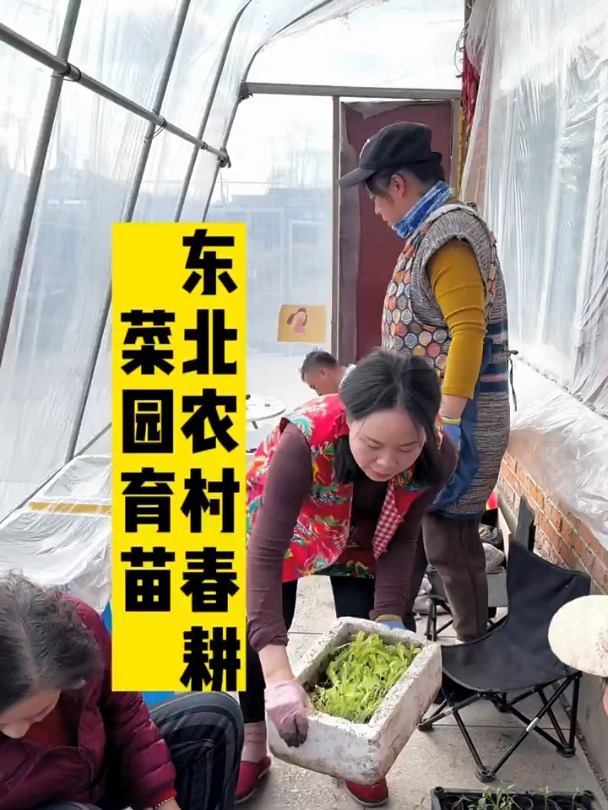 我家农村小菜园春季育苗 这就是我的真实生活