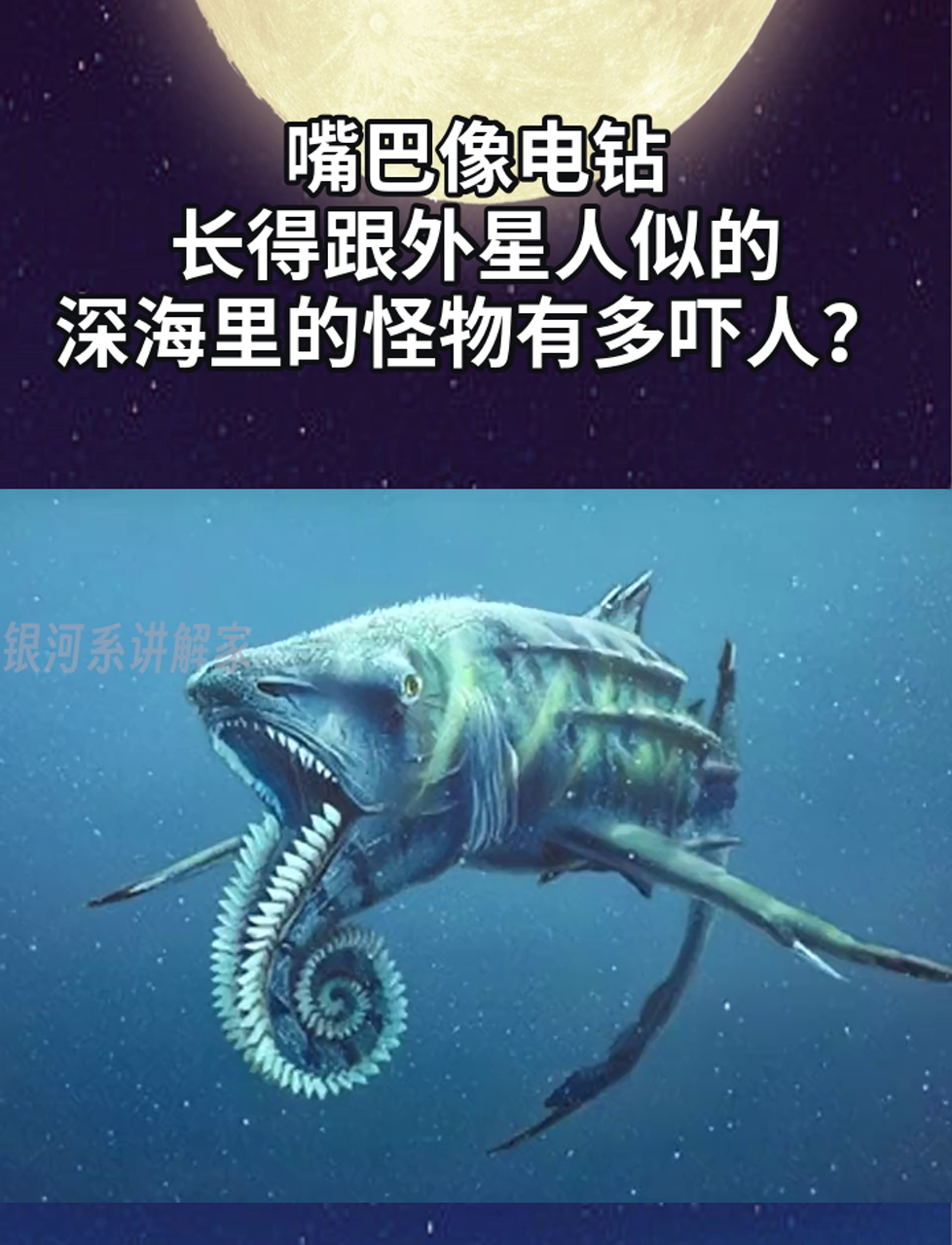 嘴巴像电钻,长得跟外星人似的,深海里的怪物有多吓人?