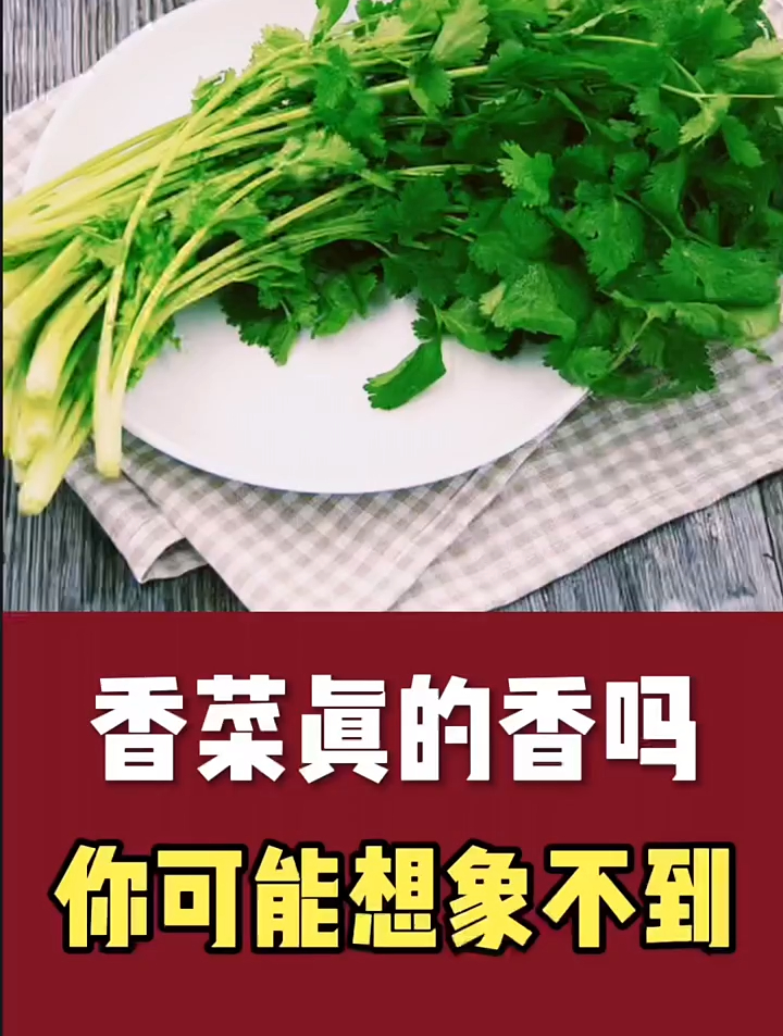 你知道香菜的秘密吗?你爱吃香菜吗?
