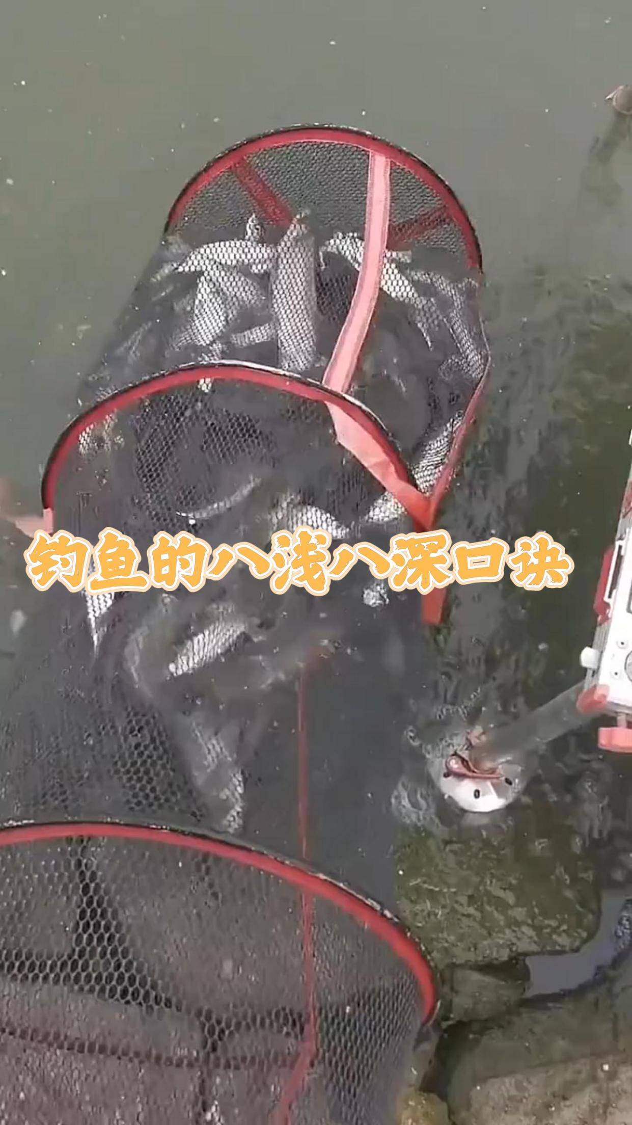 钓鱼的八浅八深技巧,建议收藏起来!