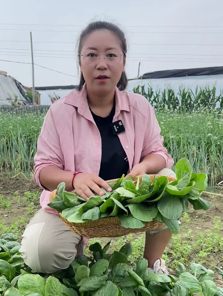 油菜种植小技巧赶紧学起来吧 农业种植技术