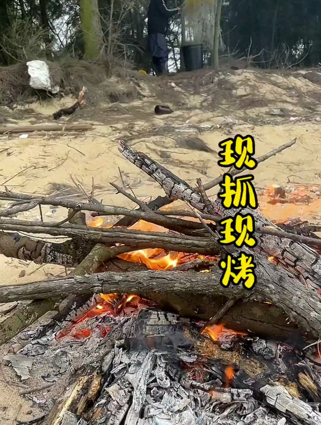 现抓现烤的最原始烤鱼方式,炭烤的鱼肉,吃起来味道更加香