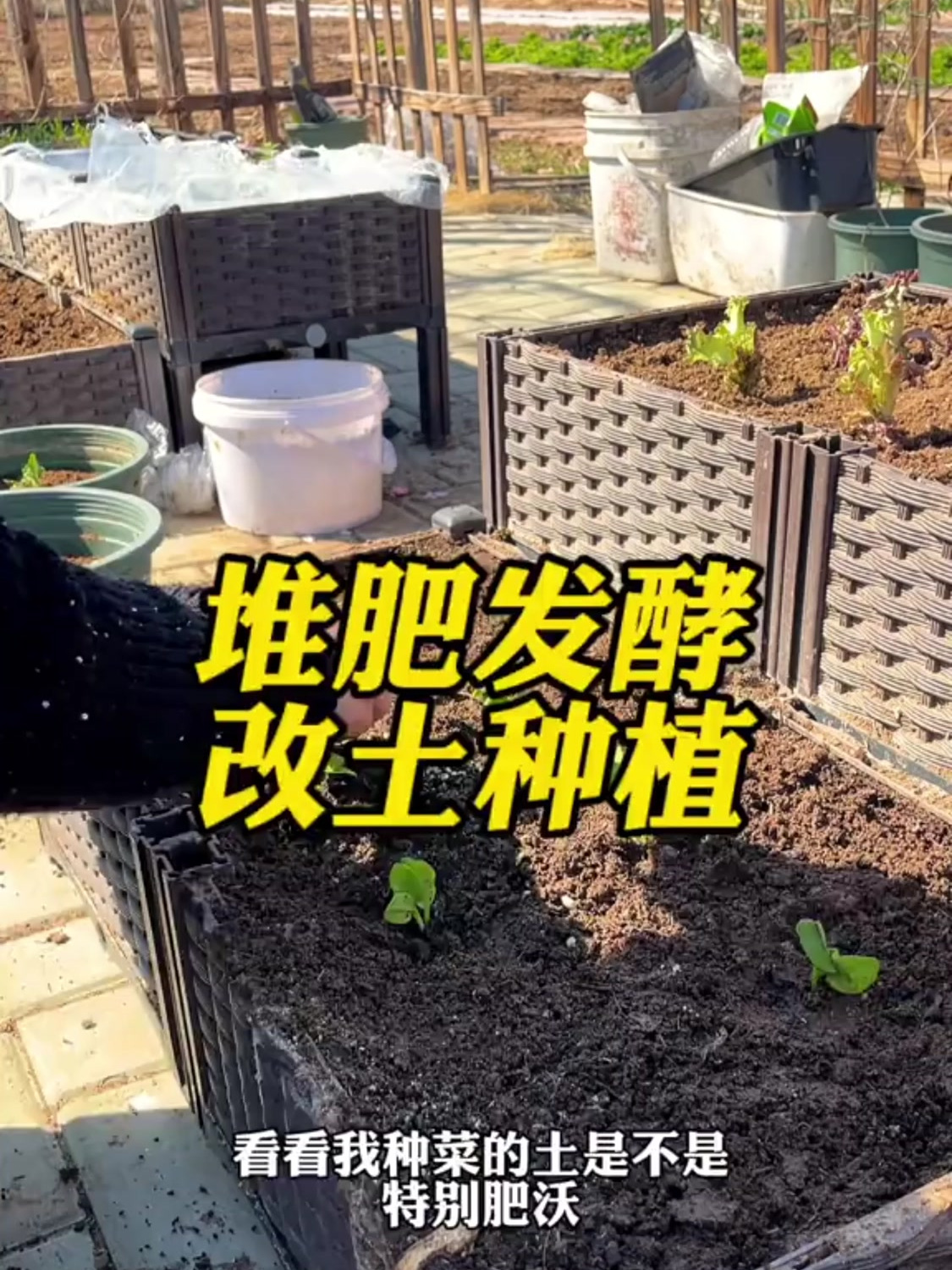 菜园里的菜藤堆肥,改良土壤板结,增加有机质