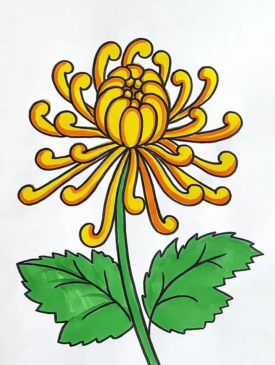 教你这样画菊花,简单又好看