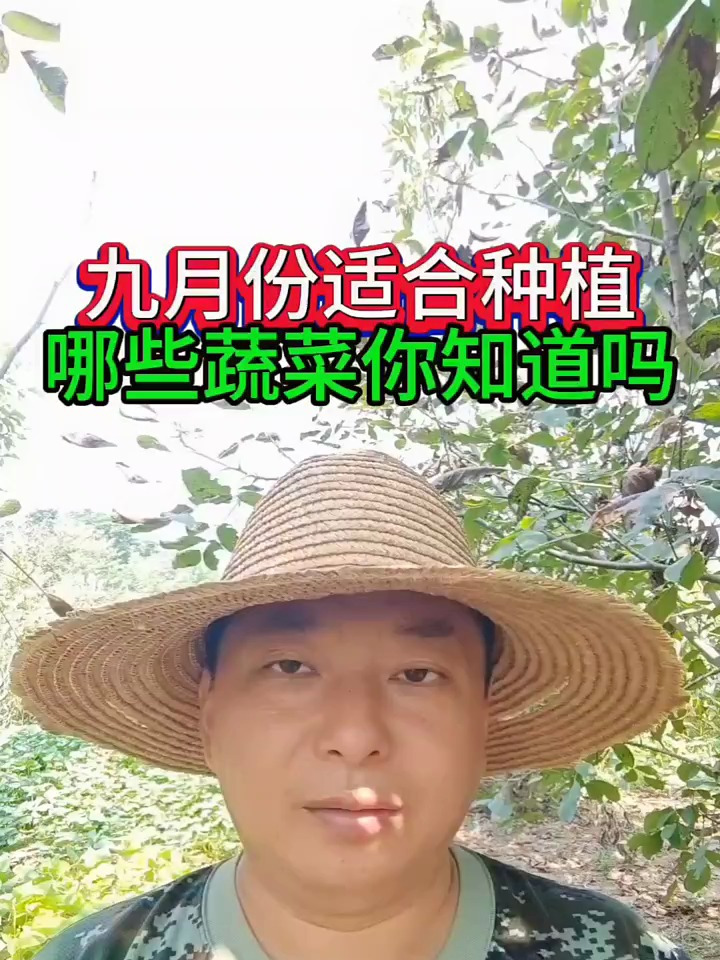 9月到12月适合种植哪些蔬菜你知道吗