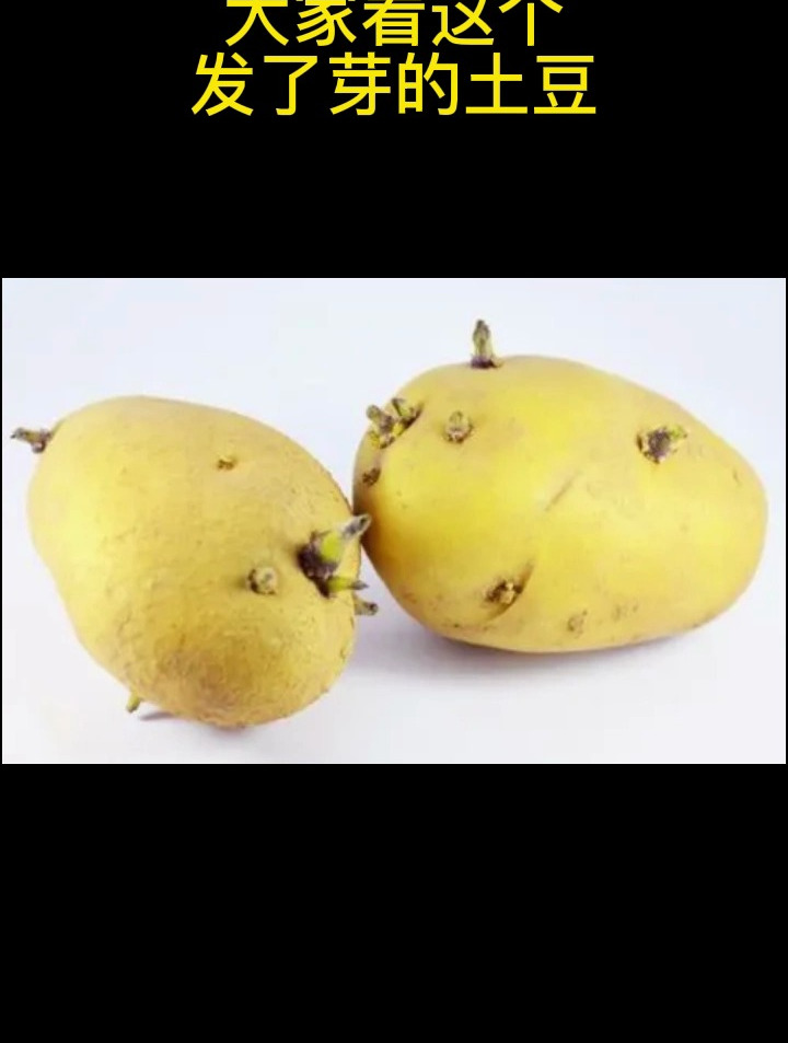 长了“菜花”的症状