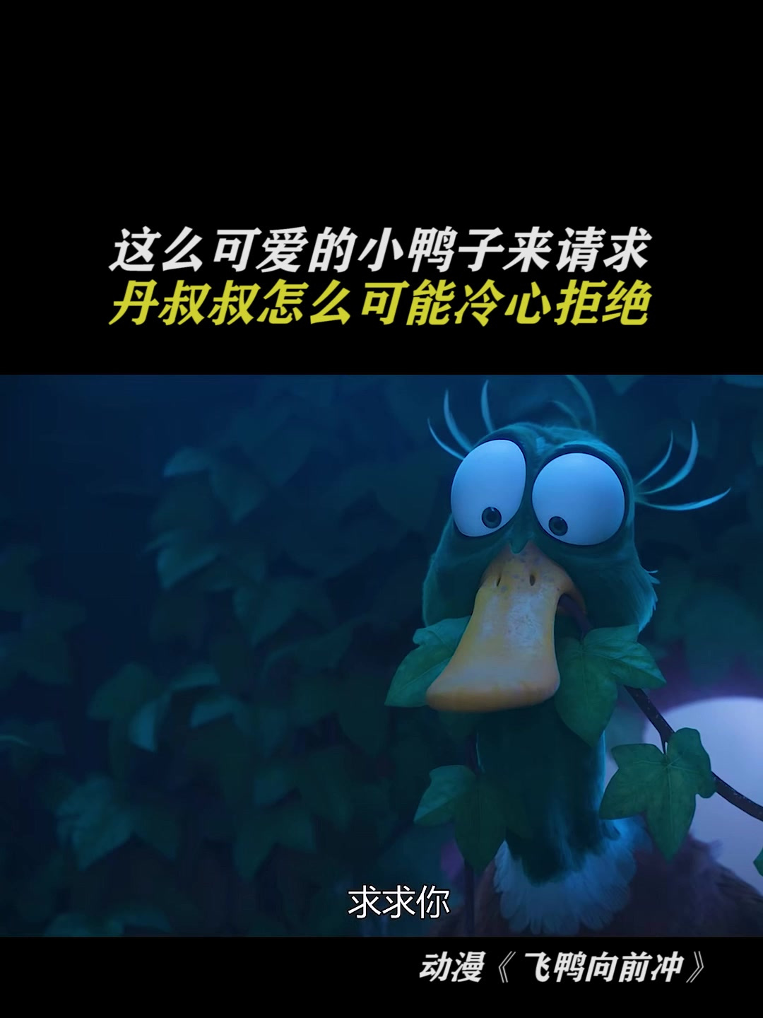 飞鸭向前冲:求求你