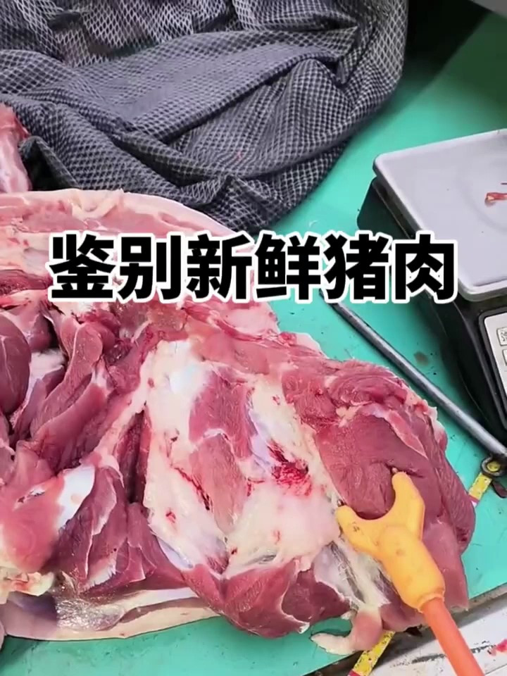 鉴别新鲜猪肉