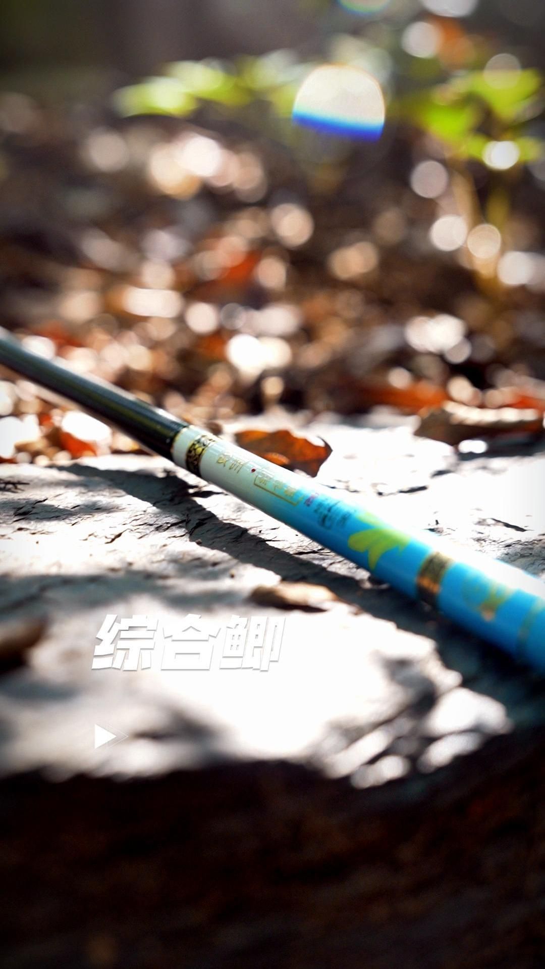 综合鲫鱼竿28调鱼竿手竿超轻超细超硬台钓