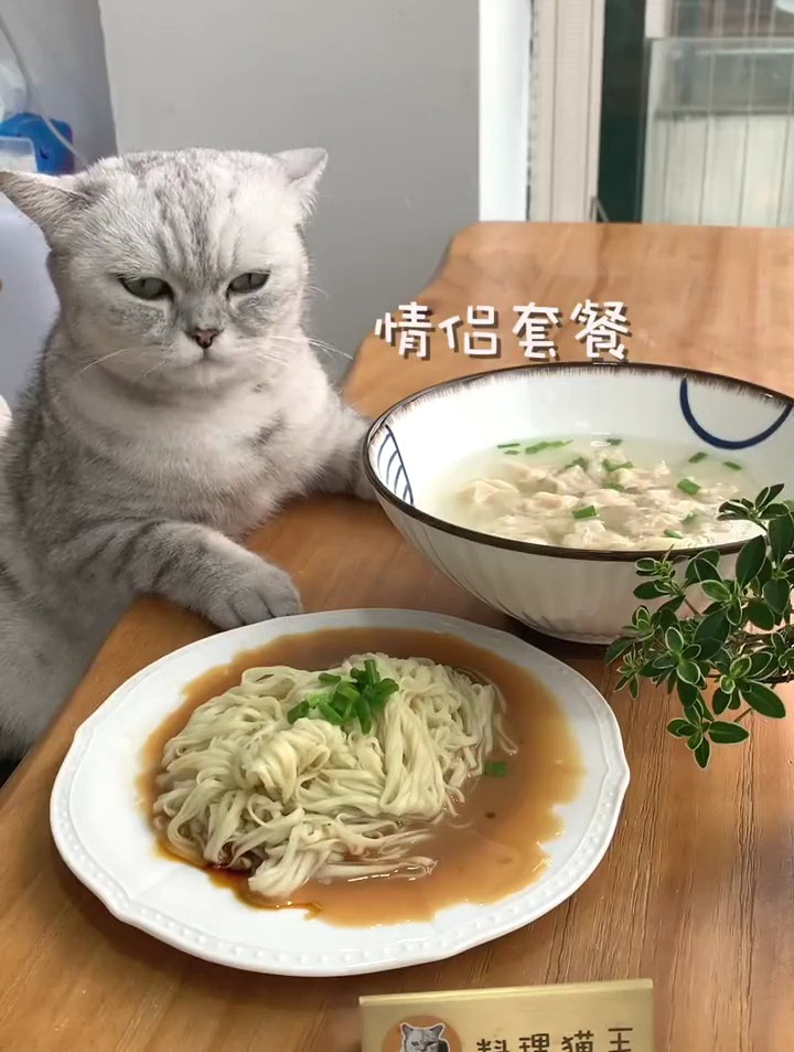 扁肉为什么会膨胀?本喵告诉你独家配方