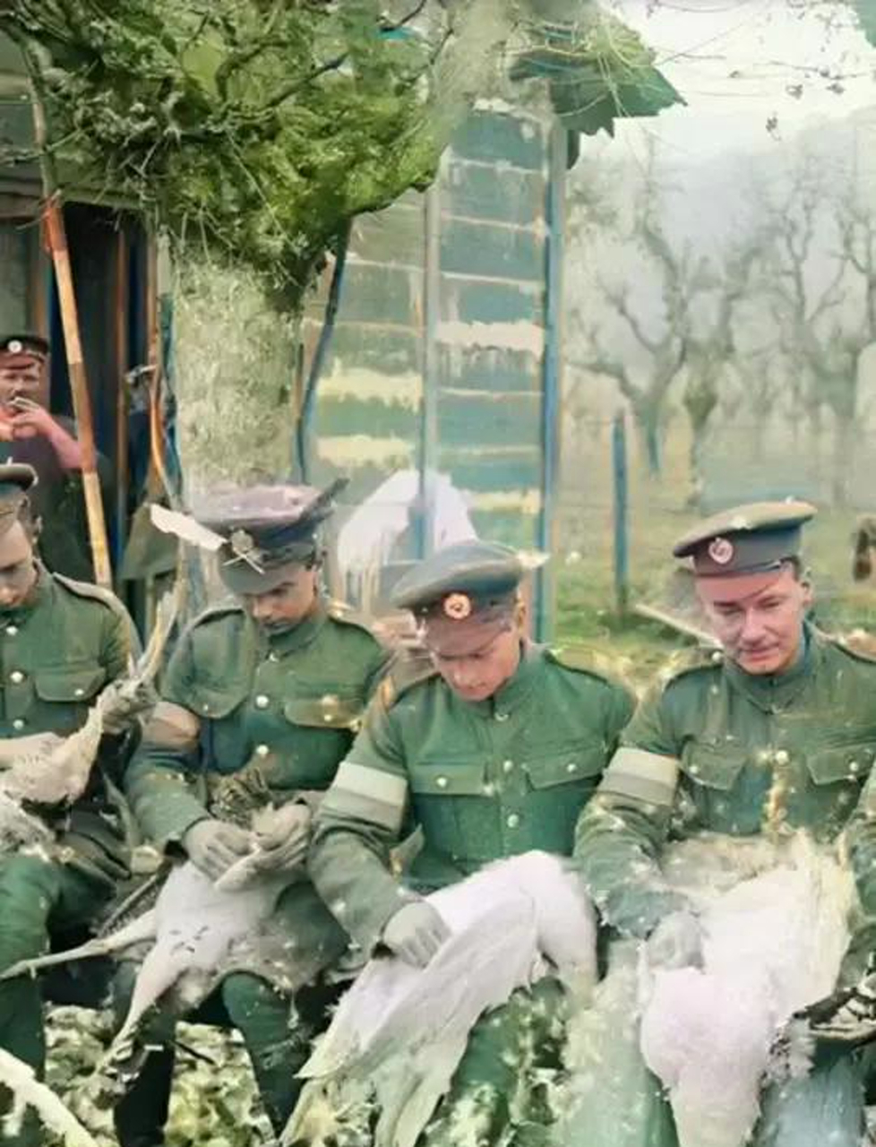 圣诞夜,英军营地诞生火鸡画师