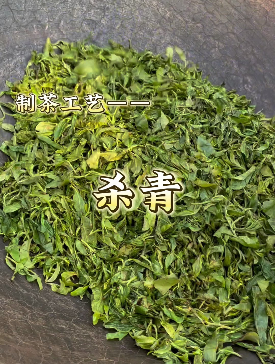 普洱茶制茶工艺——杀青