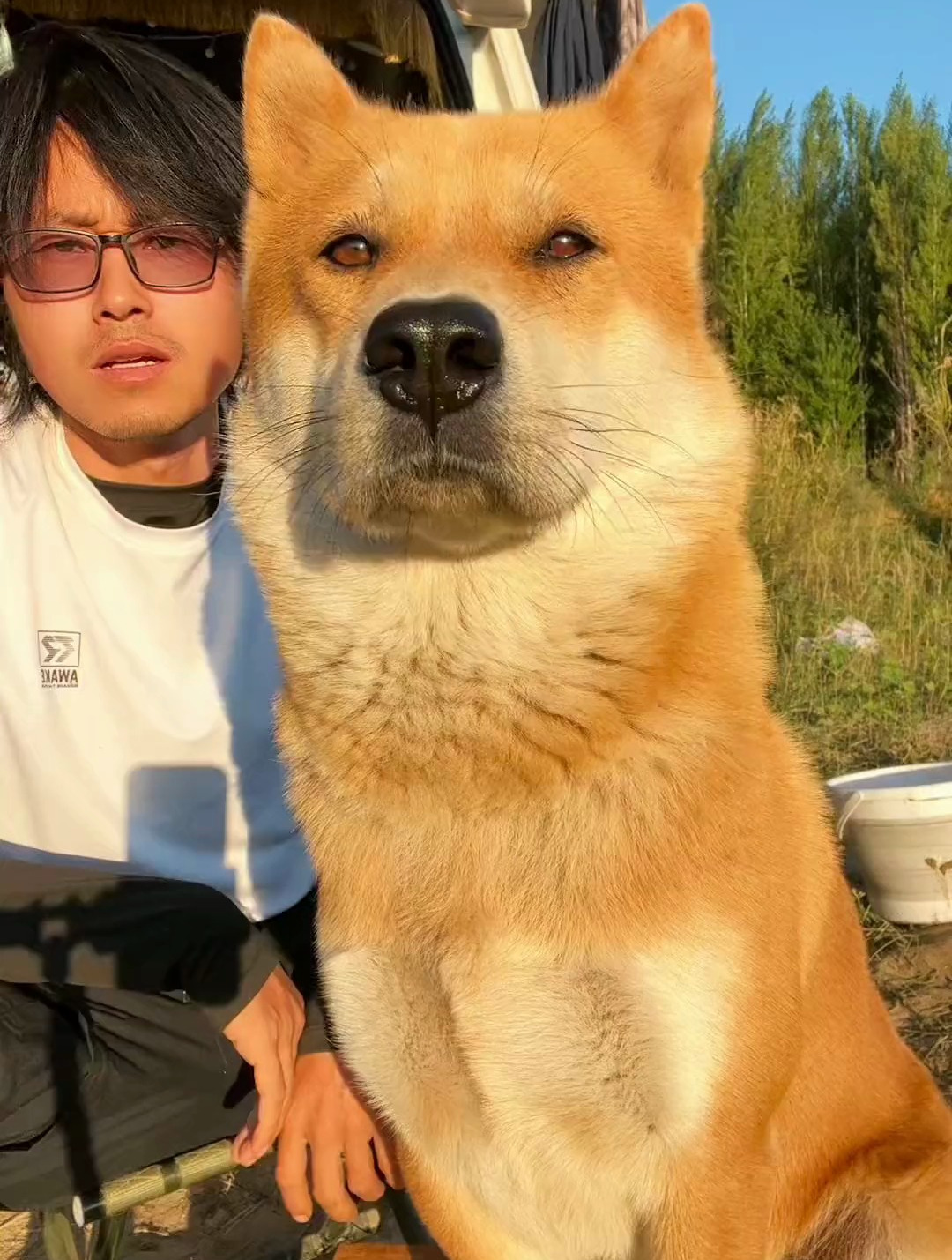 铲屎的,给我来一份蜂蜜虹鳟鱼,中华田园犬的旅行