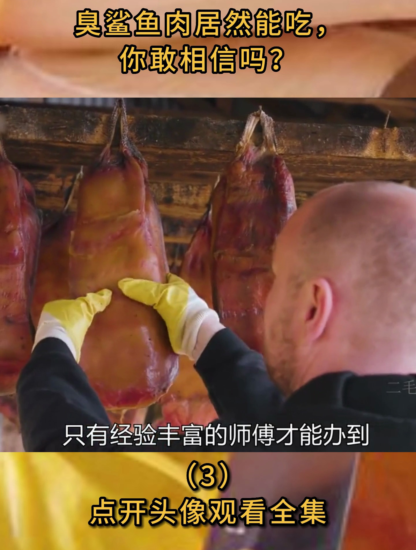臭鲨鱼肉居然能吃,你敢相信吗?(3)