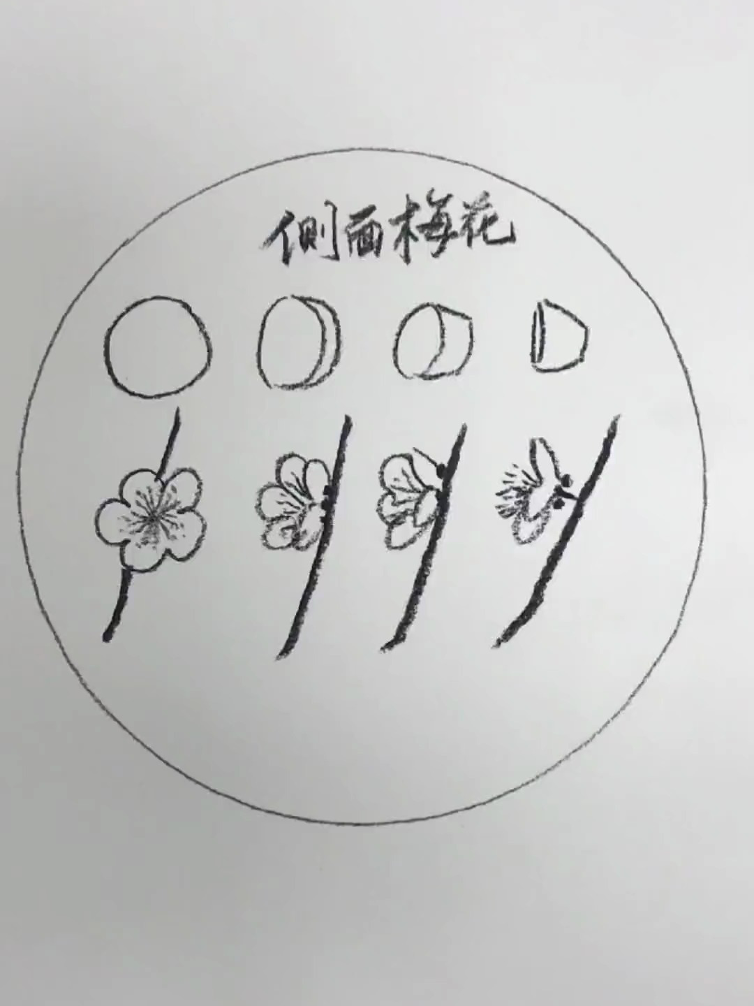 30秒轻松学会画梅花