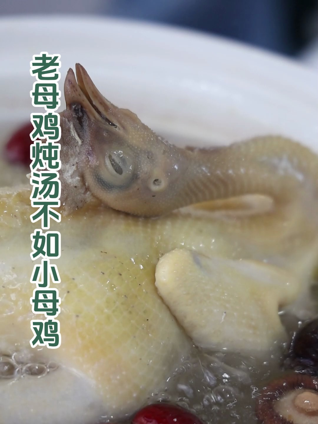 用市面上的老母鸡炖汤不如一只够野的鸡家的小母鸡!
