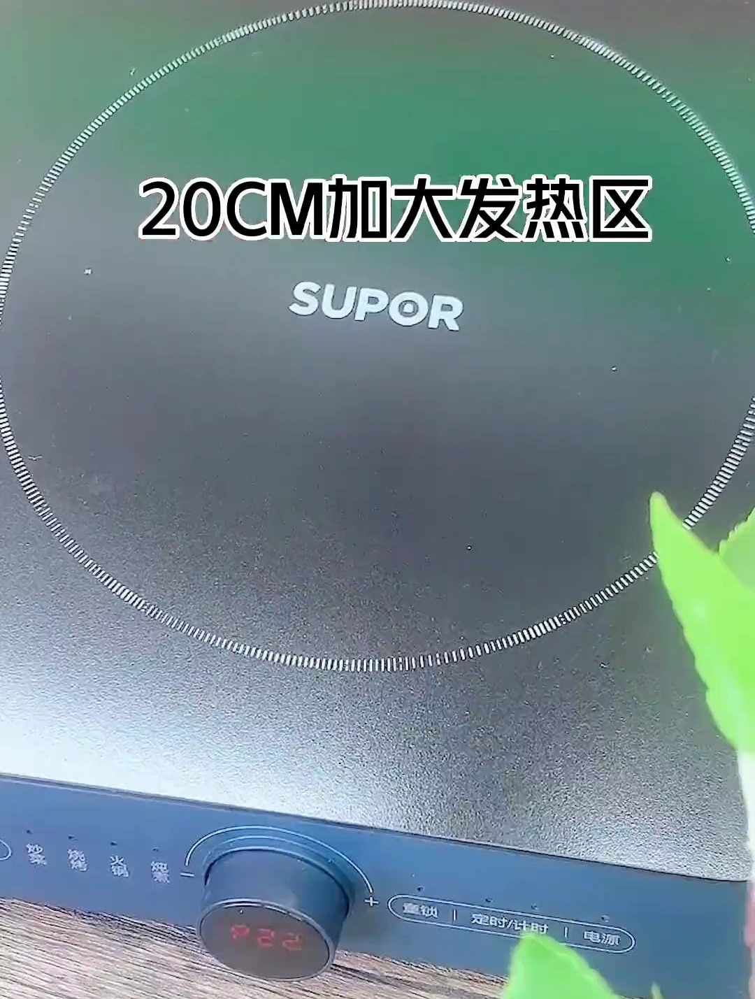 苏泊尔(SUPOR)电磁炉 童锁电陶炉 2200W大功率