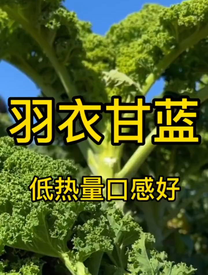 健身人士“爱不释手”的蔬菜,竟然长的像颗树?