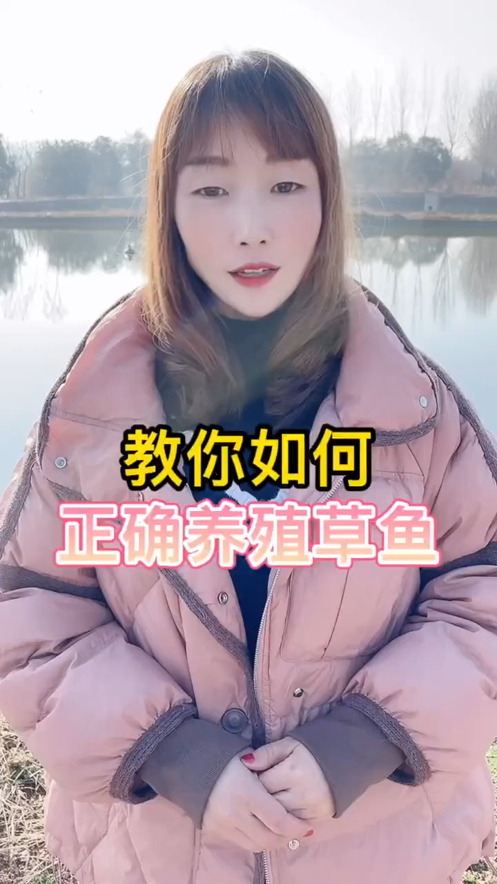 如何正确养殖草鱼 水产养殖 鱼虾蟹养殖 四大家鱼养
