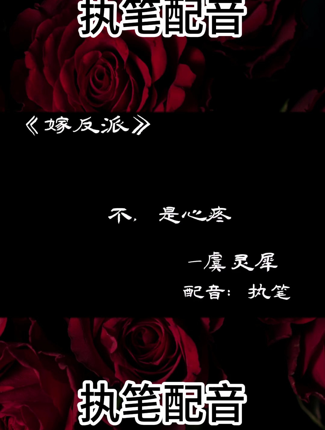 我信他能御风而起,权御天下。配音嫁反派