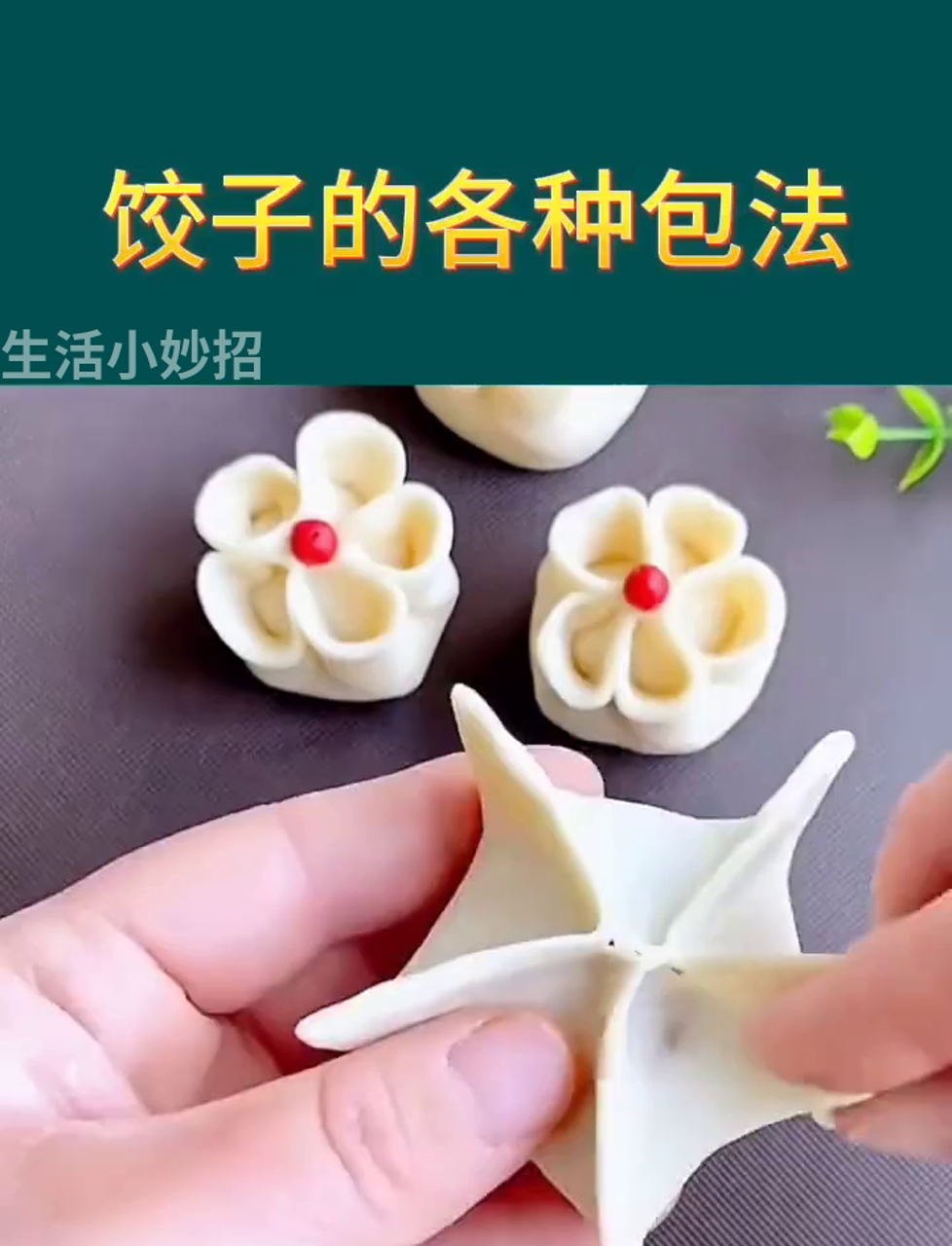 包饺子的花样你会几种?这样包饺子既美观又美味 饺子包法大全,吃不腻