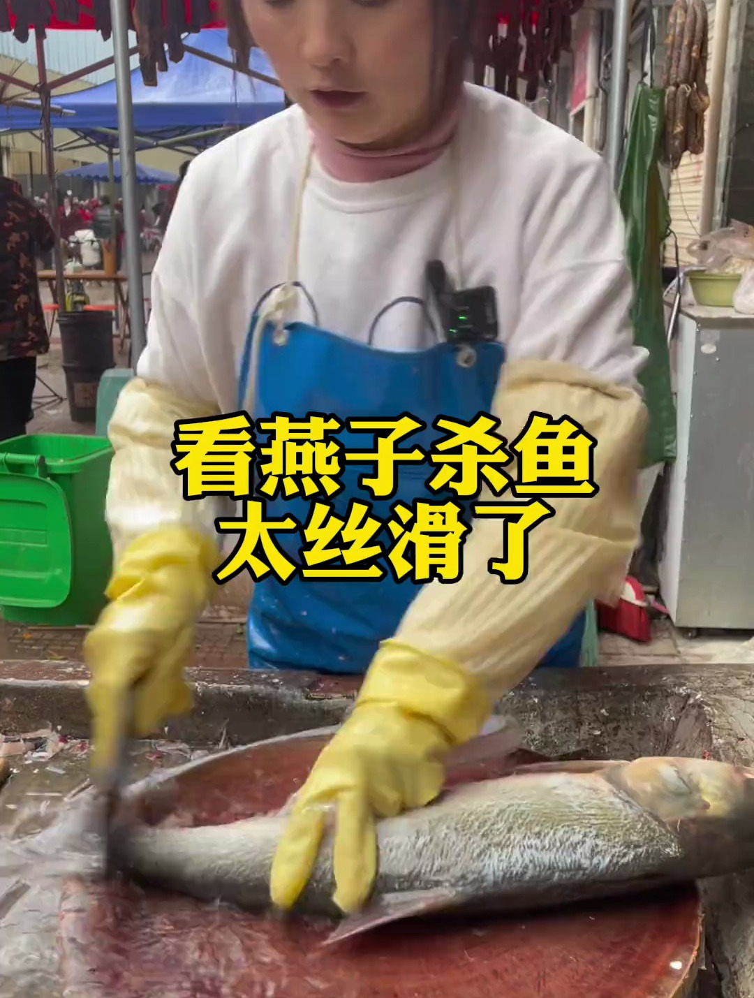 被坑了,一起看看燕子如何快速杀鱼切片 记录美好生活