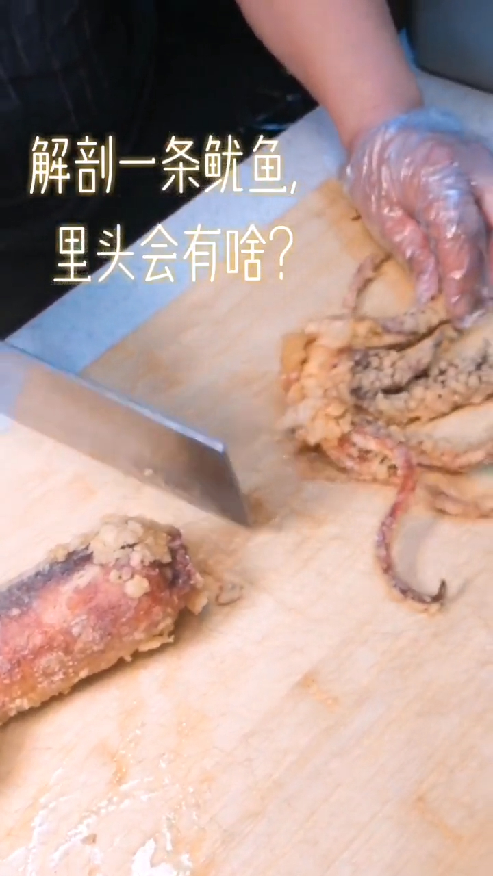 我们来看看解刨一条鱿鱼,总共分几步?不只18cm!